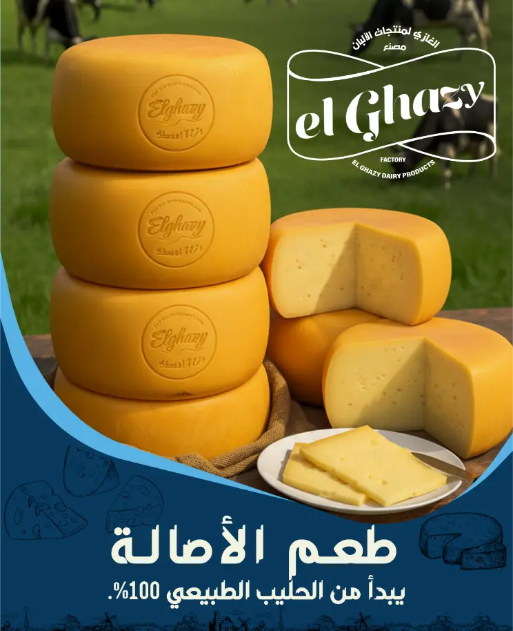 elghazy-romy-cheese.webp